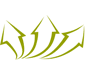 Evangelou Franzis Company
